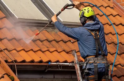 Démoussage et hydrofuge de toiture à Novalaise
